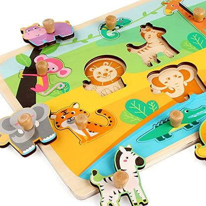 Wooden Peg Puzzles for Toddlers 1-3 - Montessori Educational Learning Puzzle Toys for Baby Gifts - style: Style C