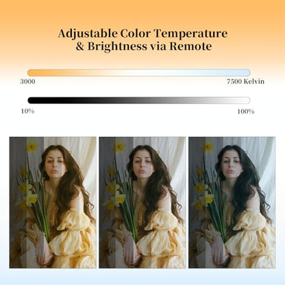 16x16'' Softbox Lighting Kit 2 Pack with 95W LED Bulbs, Remote Control, CRI97 Studio Lights for Photography Video Recording YouTube TikTok Zoom Streaming - size: 2-Pack