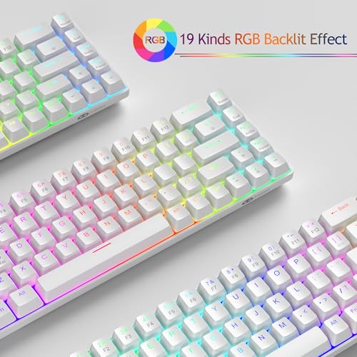 MageGee 60% Rapid Trigger Gaming Keyboard, Hall Effect Magnetic Switch, Actuation Point Adjustable, Hot Swappable RGB Backlit Wired Keyboard with Arrow Keys for Win/PC/MAC, White - color: White