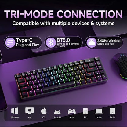 DIERYA DK68 60% Wireless Mechanical Gaming Keyboard, 3-Mode, Bluetooth 5.0/2.4G/USB-C, RGB Backlit, 68-Key Compact Mini for Windows, Mac, Linux - Clicky Blue Switch - Black - color: Black/Blue Switch, size: Wireless