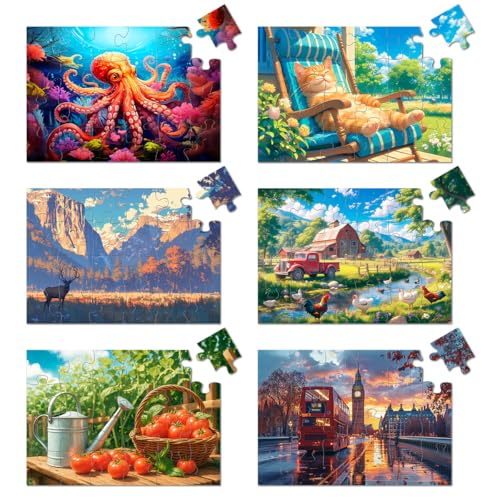 Yigney 6 Pack 24 Large Piece Jigsaw Puzzles for Seniors Alzheimer Product | for Elderly Dementia Activities Memory for Patients in Nursing Home with Storage Box - color: 24 Large Pieces