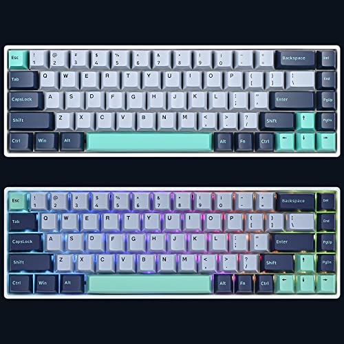 171 Keys PBT Custom Gaming Keycaps Double Shot Cherry Profile for ANSI US Layout 60% 65% 75% Mechanical Keyboard(Hammerhead Shark) - color: Hammerhead shark