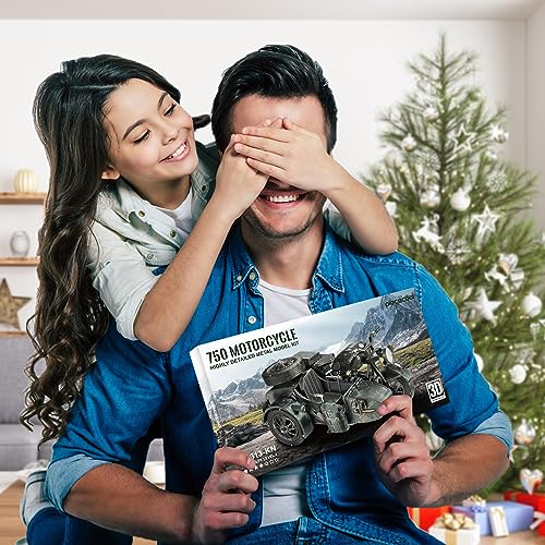 Piececool 3D Puzzles for Adults, Motorcycle with Sidecar Metal Model Building Kits for Family Time, Side Car DIY Assembling Arts and Crafts Best Birthday Gifts - style: Sidecar