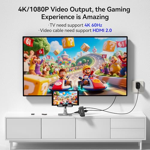 NEWDERY Switch 2 Dock, Portable TV Docking Station with 4K@60HZ HDMI