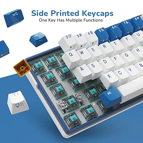 RK ROYAL KLUDGE RK61 Plus Wireless Mechanical Keyboard, 60% Percent Gaming Keyboard w/Bluetooth/2.4G/USB Wired, Hot Swappable PC Game Keyboards with USB Hub, Quiet Linear SkyCyan Switches, White