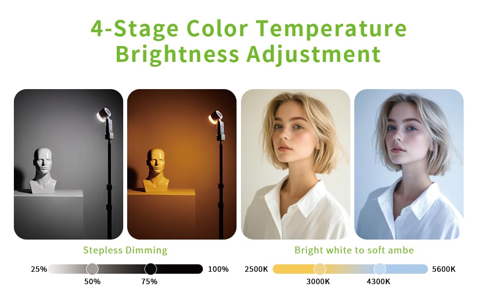12W Portable LED Video Light, 2500K-5600K Bi-Color Photography Fill Light with 180° Rotatable Head & Tripod, High CRI Handheld Lighting for YouTube, TikTok, Live Stream & Product Photography. - color: Black