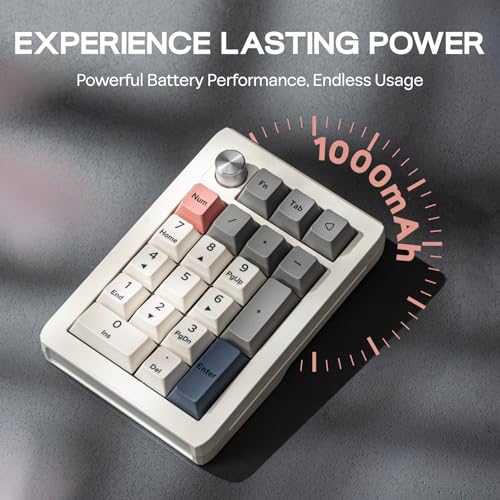 EPOMAKER EK21 VIA Gasket Number Pad w/ 1000mAh Battery, BT 5.0/2.4GHz/Wired | Hot-Swap Numpad with Aluminum Alloy knob, Programmable for Win/Mac/Gaming (Retro White, Wisteria V2 Switch) - color: Retro White, size: Wisteria V2 Switch