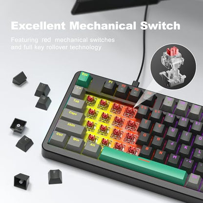 AK96 Mechanical Keyboard Smart Display & Knob, Top Mount 96% Wired Mechanical Keyboard USB-C, Hot Swappable, Software Support, Creamy Sounding, 96 Keys (Black) - color: Black