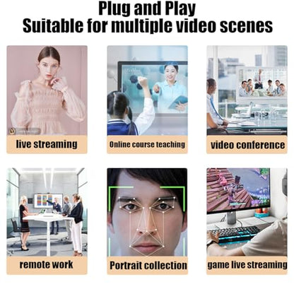 1080P Full HD Webcam with Dual Microphones, Security Camera,90 Degree FOV, Plug and Play USB for Streaming and Conferencing, Black
