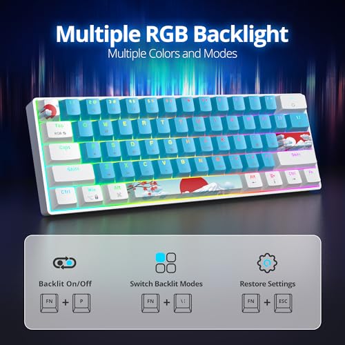 60% Mechanical Keyboard White and Blue, Compact 60 Percent Gaming Key Board RGB Backlit, 61 Keys Mini Keyboard, USB Wired Office Keyboards for Windows Mac Laptop PC (61 Blue/Red Switches) - color: 61 Blue/Red Switch