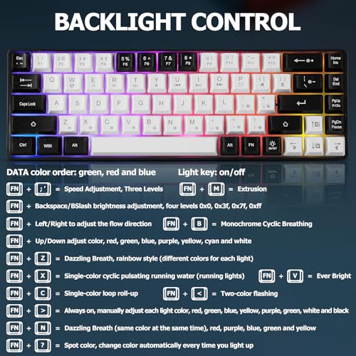 Guiheng Wired Portable 60% Mechanical Gaming Keyboard,RGB LED Backlit Compact 68 Keys Mini Wired Office Keyboard with Red Switch for Windows Laptop PC Mac - White - color: White and black