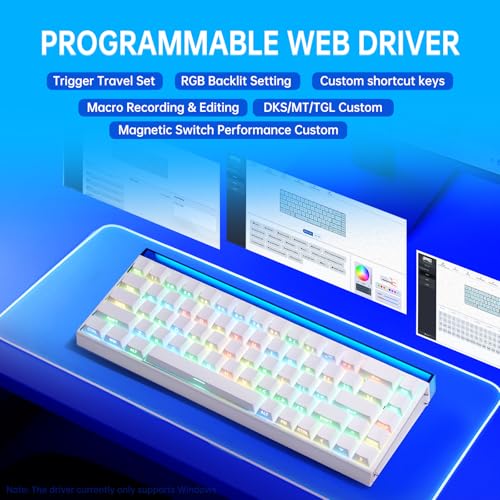 Aula Hero 68 HE 60% Gaming Keyboard Wired, Hall Effect Magnetic Switch Keyboard with Adjustable Actuation, Fast Trigger Mode, 8K Hz Polling Rate, 0.125ms Latency - color: White Pluto