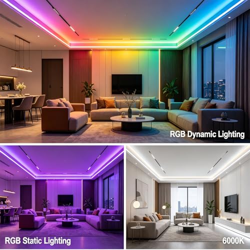 RGBW IC COB LED Strip Kit Cool White 6000K 16.4FT 24V 480LEDs/M | WS2811 IC Addressable Music-Sync Dimmable Color Changing Multicolor RGB+CW LED Tape Kit for Bedroom Gaming Room Party Lights - color: RGBW+IC+6000K