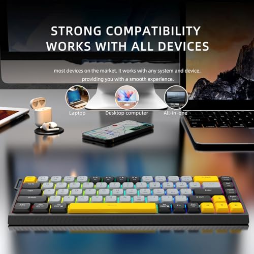 GOWENIC Wired Gaming Keyboard, RGB Backlit Mechanical Gaming Keyboard, 68 Keys Quiet Anti Ghosting No Conflict, Full Size Computer for PC Laptop (Gray Black) - color: Gray Black