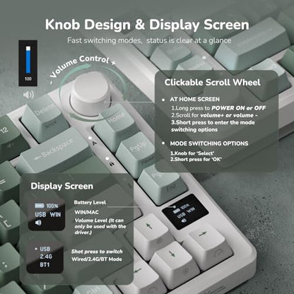 RK ROYAL KLUDGE M75 Wireless Mechanical Keyboard 2.4Ghz/BT5.1/USB-C Gaming Keyboard 75% Layout 81 Keys Gasket Mount with OLED Display & Knob RGB Backlight Hot-Swappable Pale Green Switch, Green - color: Green, size: Pale Green Switch