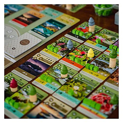 Inside Up Games Bundle: Earth + Earth Abundance Expansion