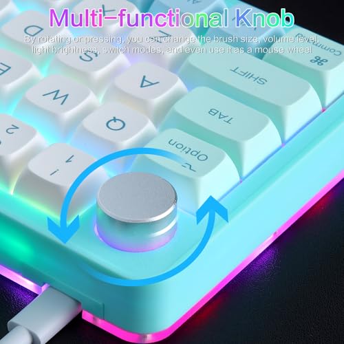 Koolertron Single-Handed Macro Mechanical Keyboard, RGB LED Backlit Portable Mini One-Handed Mechanical Gaming Keypad 39 Fully Programmable Keys (39 Keyboard Blue) - style: 39 Keyboard Blue