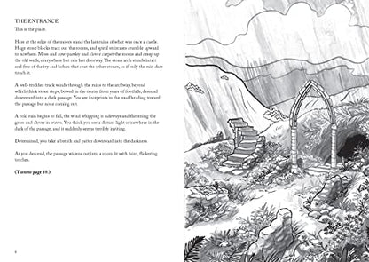 Into the Dungeon: A Choose-Your-Own-Path Book