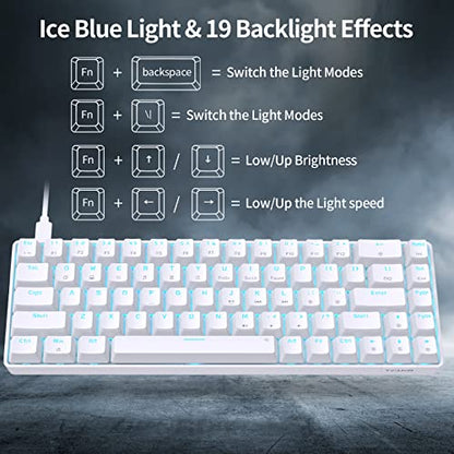 DIERYA T68SE 60% Gaming Mechanical Keyboard,Ultra Compact Mini 68 Key with Red Switches Wired Keyboard,Anti-Ghosting Keys, for Windows Laptops and PC Gamers,White - color: White/Red Switch, size: Wired