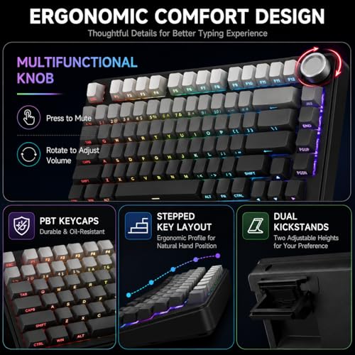 AOC GK330 75% Wireless Mechanical Gaming Keyboard, Hot-Swappable 3-Mode RGB | BT/2.4GHz/USB-C Connectivity, Pre-Lubed Reaper Switches, Anti-Ghosting, Gasket Mount and 5-Layer Sound-Dampening Padding