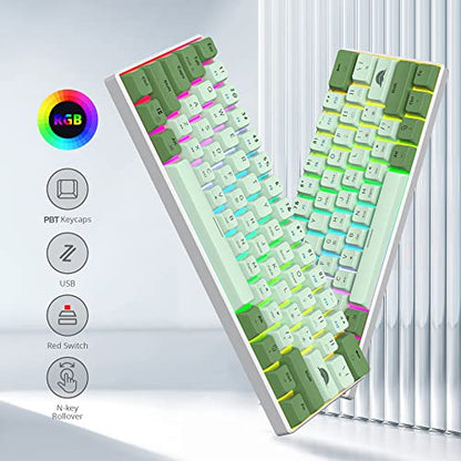 Fogruaden 60 Percent Mechanical Matcha Gaming Keyboard - 60% Red Switch, RGB Backlit, Wired with MDA PBT Keycaps for Win/Mac PC Laptop - color: 61 Matcha/ Red Switch