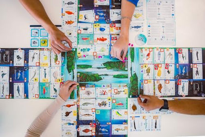 Stonemaier Games: Finspan - A Wingspan Game by David Gordon & Michael O’Connell | A Relaxing Strategy Board Game About Collecting Fish and Ocean Diving for Adults and Family | 1-5 Players, 60 Mins