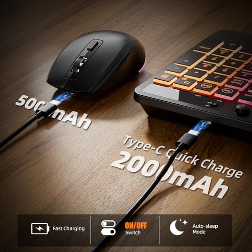 Hamile Wireless Keyboard and Mouse Combo:RGB Backlit Effects,Ergonomic Full Size Silent Keyboard,Wrist Rest,2.4G Rechargeable with Phone Holder Compatible with Windows, Mac,PC,Laptop, Black