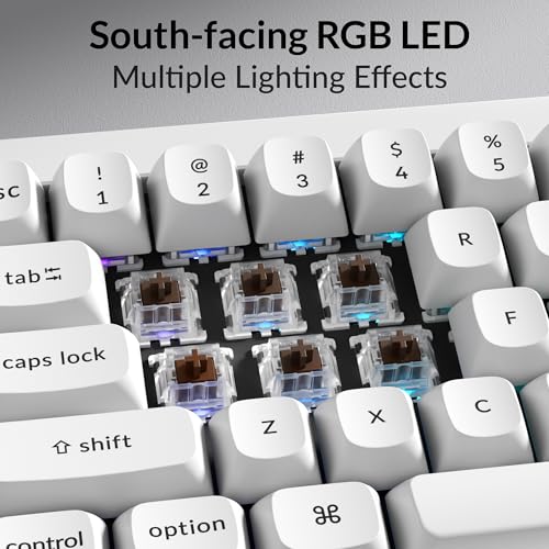 Keychron Q4 Wired Custom Mechanical Keyboard, QMK/VIA Programmable Macro, Full Aluminum, Hot-Swappable Gateron G Pro Brown Switch, 60% Layout Double Gasket Compatible with Mac and Windows - White - color: White (Gateron G Pro Brown Switch)