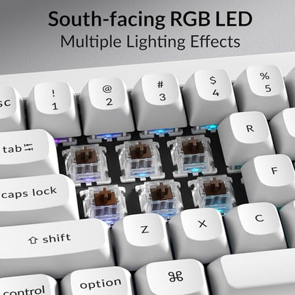 Keychron Q4 Wired Custom Mechanical Keyboard, QMK/VIA Programmable Macro, Full Aluminum, Hot-Swappable Gateron G Pro Brown Switch, 60% Layout Double Gasket Compatible with Mac and Windows - White - color: White (Gateron G Pro Brown Switch)