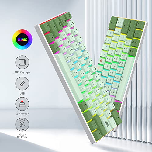 60% Mechanical Keyboard Wired Linear Red Switch RGB Backlight | 60 Percent 61-keys Compact Layout Gaming Keyboard TKL Ultra-Compact Mini RGB Backlit - color: 61 Matcha/Red Switch