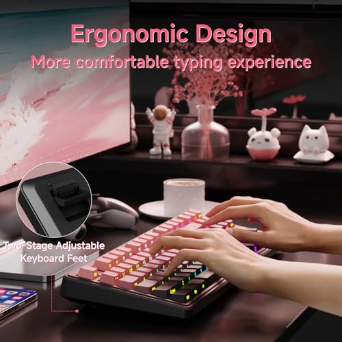 EWEADN V80 Wired TKL RGB Gaming Keyboard, 80% Compact Layout with PBT Keycaps, Whisper Quiet Membrane Switch, 26-Key Anti-Ghosting, Ergonomic Computer Keyboard for Laptop PC Gamer - BlackBerry Pink - color: BlackBerry Pink