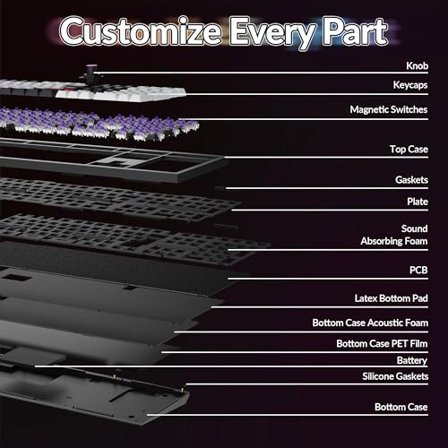 Keychron Q6 HE Wireless Custom Magnetic 100% Full Keyboard, 2.4 GHz/Bluetooth/Wired QMK Aluminum Rapid Trigger Hot-Swappable Programmable Gateron Double-Rail Magnetic Switches for Mac Windows Linux - color: Carbon Black