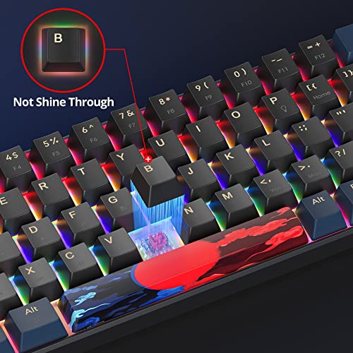 60 Percent Gaming Keyboard Mechanical with Linear Red Switch, 65% Wired Ultra-Compact Mini Keyboard Rainbow with PBT Keycaps for Ps4/Ps5/Xbox(68 Blue) - color: 68 Blue/red swicth
