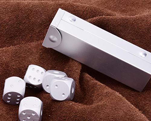 DS.DISTINCTIVE STYLE Aluminum Alloy Dice 5 Pieces 16mm Portable Metal Dices with Case 6 Sided Dice for Party Game - color: Silver, style: Rectangle