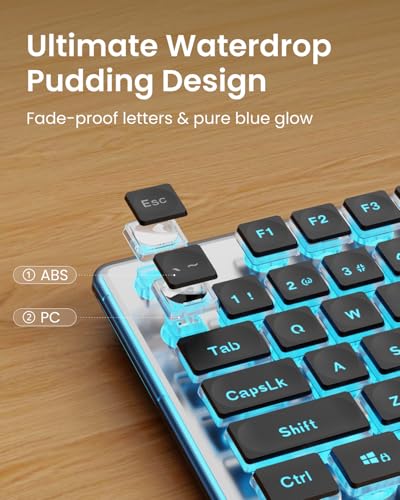 SEUNKWANG Wired Backlit Keyboard with Pudding Keycaps, Quiet Full Size Computer Keyboard Blue Backlight Easy-to-Read, Never Fade, Metal Panel, USB Cute Desk Setup for Windows PC Desktop, Black - color: Black-blue