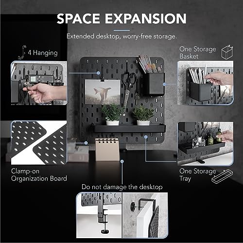 EHO Clamp-On Desk Pegboard, 13.5 x 14 inch Privacy Divider, Desk Partition Panel, No-Drill Desk Mounted Organizer, Combination Peg Board for Office, Gaming, Home, Plants, Black