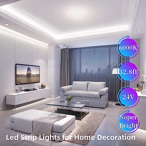 Small Led Light Strip, 12V Updated 24V Dimmable Cuttable LED Lights Strip, 32.8ft 600Leds, Super Bright LED Tape Lights for Living Room, Bedroom, Kitchen, Vanity Mirro,Flexible LED Light Strips - color: Daylight White, size: 32.8FT