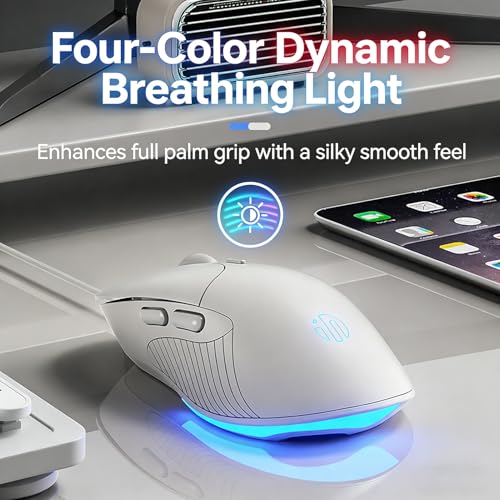 DGMINMU B2 Wired Gaming Mouse, Silent Click Ergonomic Mouse with 7200 DPI Adjustable, RGB Backlit, 6 Programmable Buttons, Braided Cable for PC, Mac, Laptop, Gaming & Office Use (B2-W) - color: B2-W