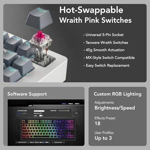 TECWARE Phantom+ Elite 87 Key RGB Mechanical Gaming Keyboard | 3 Mode Wireless Bluetooth 5.0 2.4GHz & USB C Wired | Hot Swappable 5 Pin | Double Shot PBT Keycaps | Wraith Pink Switch - White - color: Pink Switch, size: Phantom+ Elite 87 | White
