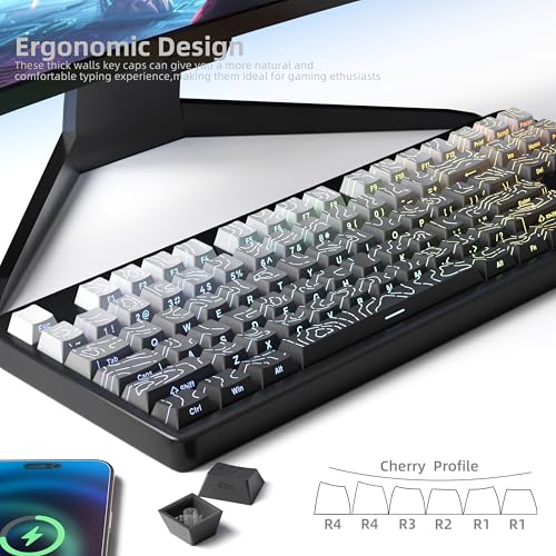 FunHub Shine Through PBT Keycaps - Black Double Shot Side Printed Backlit Keycaps Set 133 Keys 60% 65% 75% 100% Cherry Profile,Gradient Topographic Custom Key Caps for MX Switch Gaming Keyboards - color: Black