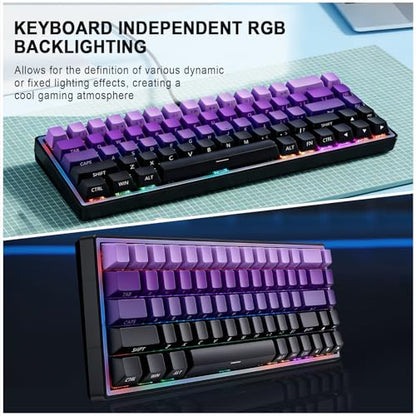 Wired 65% Mechanical Gaming Keyboard, Purple Gradient PBT Keycaps RGB Backlit Compact Mini Keyboard, Portable Ergonomic Gaming Keyboard for PC Laptop Desktop Gamers Office Work - color: Purple