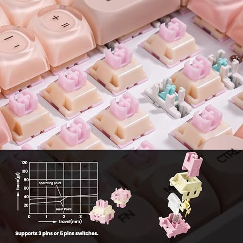 ZORNHER ZH100 Foundation Mechanical Keyboard,98% Pink Creamy Keyboard with Number Pad,Full Size Gaming Keyboard Cute,Jelly MOA Profile Round Keycaps,Creamy Sounding Linear Switches,PC Gaming - color: Foundation, size: Creamy Switch