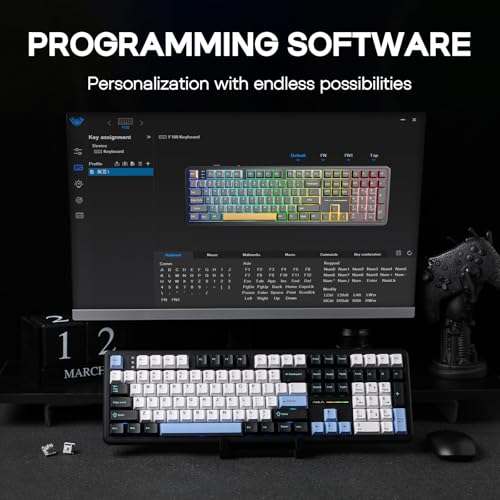 EPOMAKER Aula F108 Wireless Gaming Keyboard, Full Size Mechanical Keyboard with 4000mAh Battery, 108 Hot-Swappable and Programmable Keys, RGB Backlight, for Mac/PC/Android (Blue&White&Black) - color: Blue&White&Black
