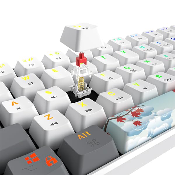 60% Mechanical Keyboard 61-Key Wired Gaming Keyboard with Red Switch RGB Lighting Effect PBT Keycaps Ultra-Compact Mini Keyboard Suitable for Win/Mac(61 White) - color: 61 white/Red Swicth
