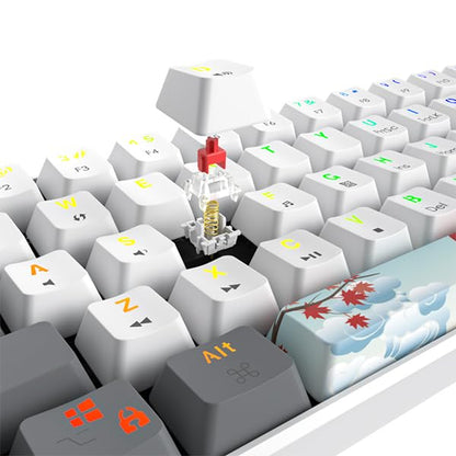 60% Mechanical Keyboard 61-Key Wired Gaming Keyboard with Red Switch RGB Lighting Effect PBT Keycaps Ultra-Compact Mini Keyboard Suitable for Win/Mac(61 White) - color: 61 white/Red Swicth