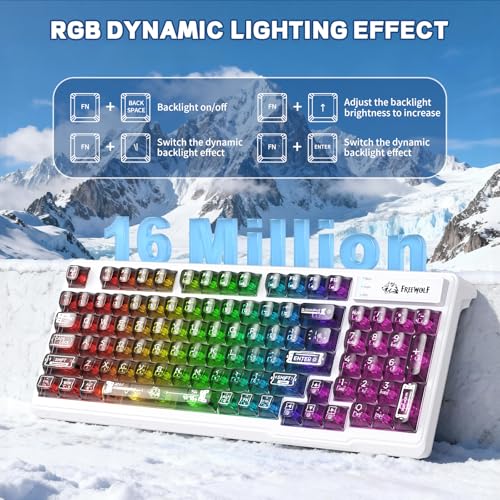 FREEWOLF M95 Transparent Membrane Keyboard with Clear Keycap,Wired Gaming Keyboard with RGB Backlit, 94 Silent Keys with Mechanical Feeling,26-Key Anti-ghosting,for Mac/Windows -Black - color: Black