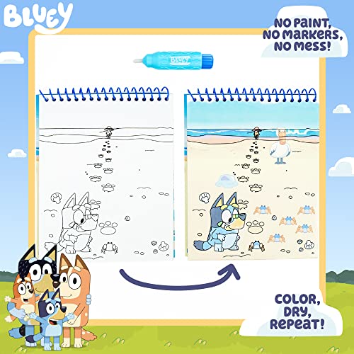 Horizon Group USA Bluey Aqua Art - Reusable Water Reveal Activity Pages With Water Pen for No-Mess Drawing and Coloring - style: Bluey