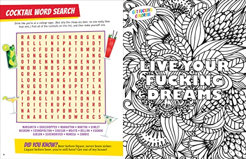 It's All F*cking Fun and Games (Profanity-littered word searches, crosswords, cryptograms, mazes, and more!)