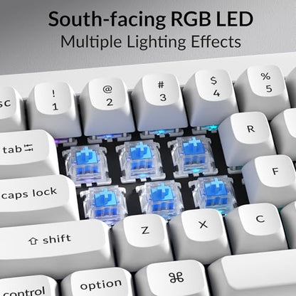 Keychron Q4 Wired Custom Mechanical Keyboard, QMK/VIA Programmable Macro, Full Aluminum, Hot-Swappable Gateron G Pro Blue Switch, 60% Layout Double Gasket Compatible with Mac and Windows - White - color: White (Gateron G Pro Blue Switch)
