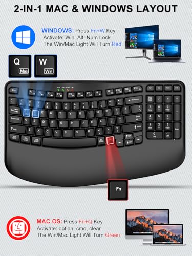 EDJO Wireless Ergonomic Keyboard with Wrist Rest, Wave Keys | Comfortable Natural Typing, Multimedia Hotkeys,2.4GHz,For Large Hands,Windows, Mac, Laptop, PC